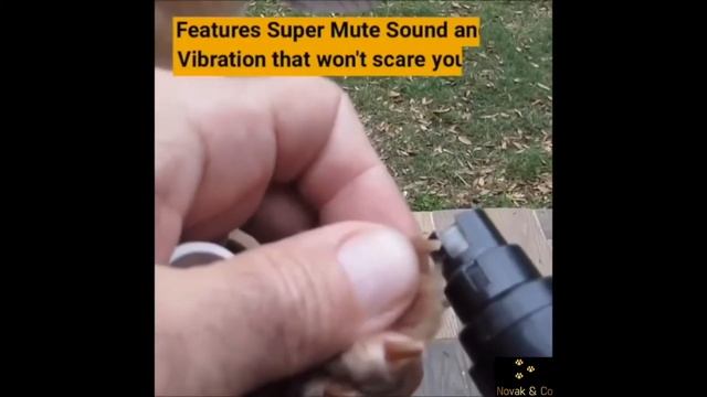 ? Portable Pet Nail Grinder - EVERY Pet owner needs this! смотреть онлайн