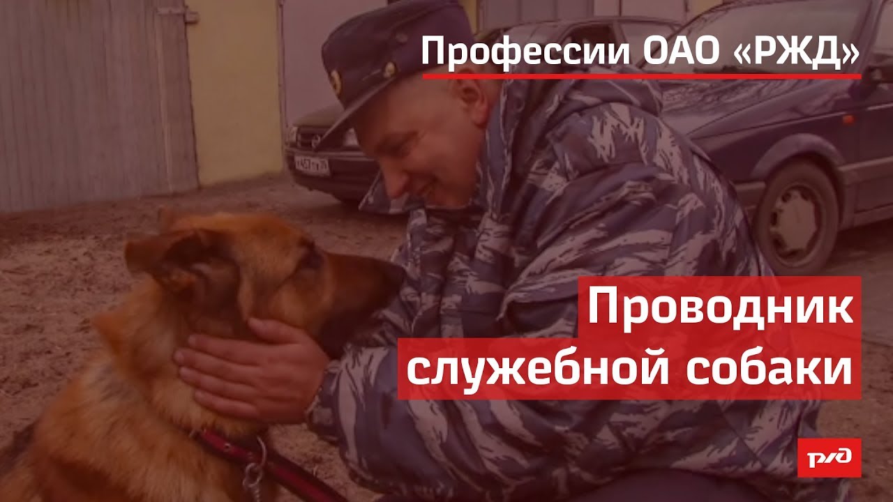 Проводник служебной собаки смотреть онлайн