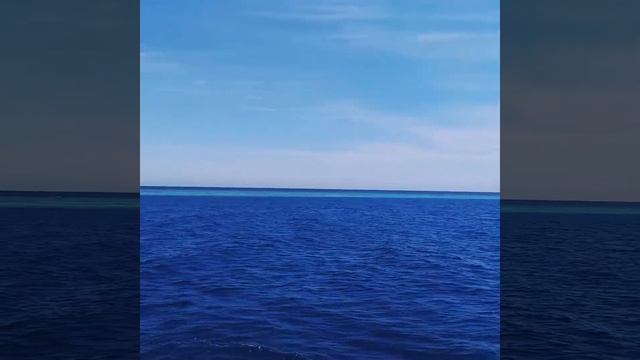 Red Sea, Красное море, Egypt, Египет, Hurghada, Safaga, Хургада, Сафага