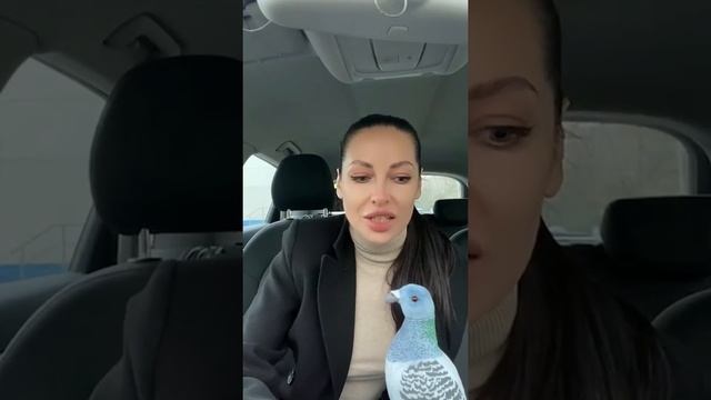 Женская чуйка на измену смотреть онлайн