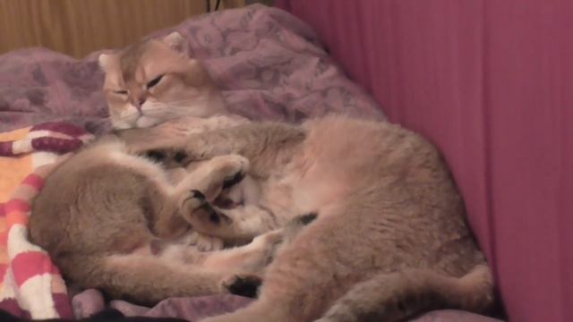 Про Рыжую Девушку, которая нравилась всем смотреть онлайн