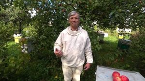 Объединение семей осенью.  Лучший способ.  Пасека Лаврова.