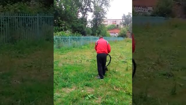 Ягдтерьер на карусели смотреть онлайн