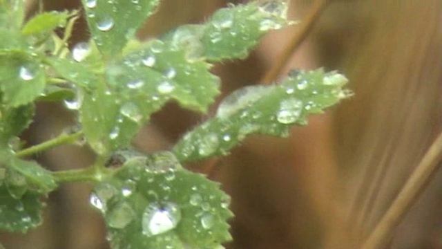 Турция_ЛикийскаяТропа (Кумлуджа-Фазелис).wmv смотреть онлайн