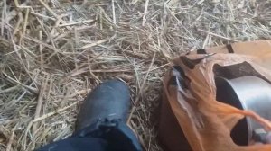 Лучшая зерносмесь для кроликов!Кролики растут как на дрожах!