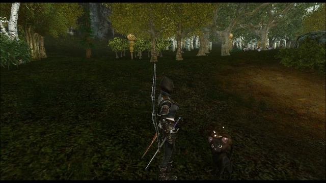 ArcheAge Obtaining Battlepet Cat смотреть онлайн