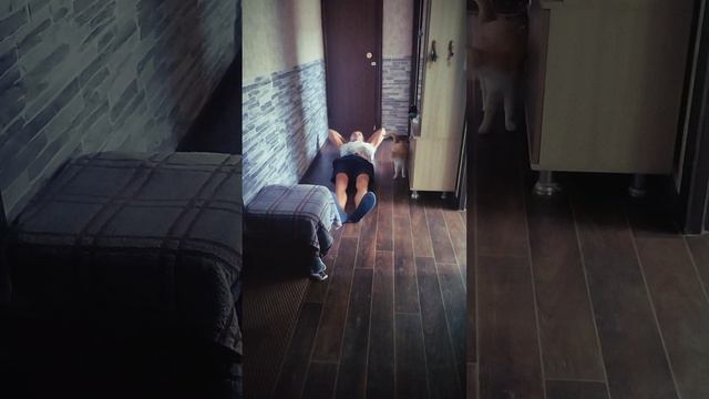 день 44 смотреть онлайн