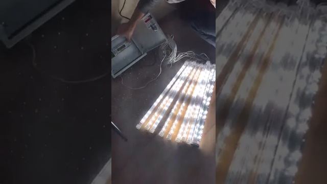 Презентация птичного освещения смотреть онлайн