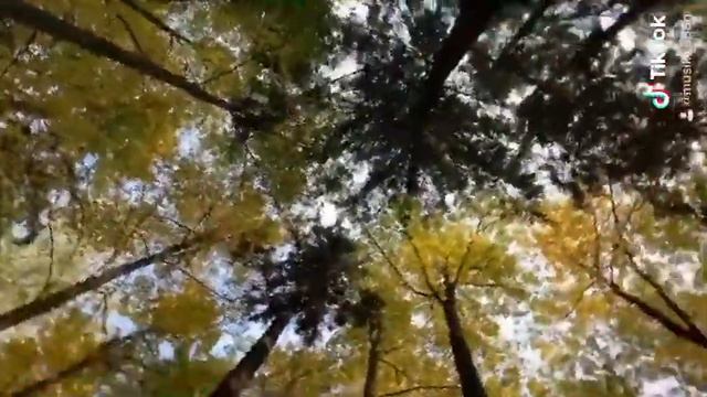 Тишины хочу... смотреть онлайн