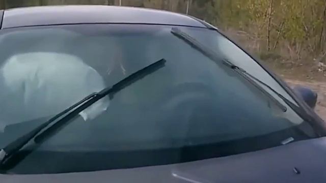 2016 Ford Focus Front Impact Crash Test in Real Life смотреть онлайн