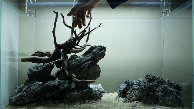Nature Aquarium Build - ESCARPMENT смотреть онлайн