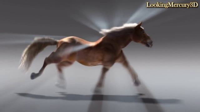 Horse 3D Animation смотреть онлайн