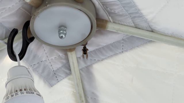 КАК НЕ ОСТАТЬСЯ БЕЗ РЫБЫ? НИКАКИХ СЕКРЕТОВ! смотреть онлайн