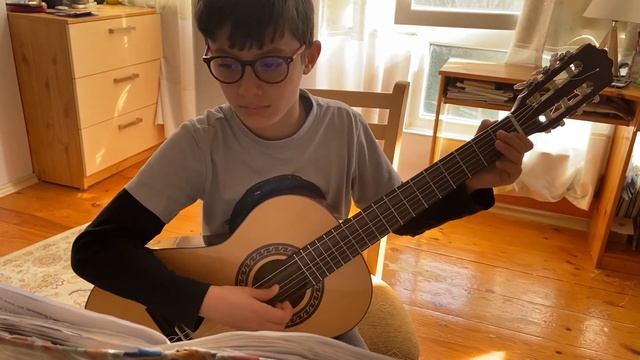 Waltz by Matteo Carcassi смотреть онлайн