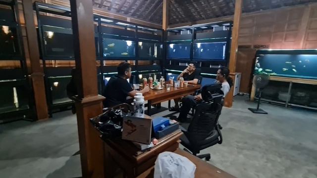 GREBEK RUMAH JOGLO FULL AQUARIUM IKAN PREDATOR смотреть онлайн
