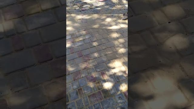 Затирка швов при укладке тротуарной плитки