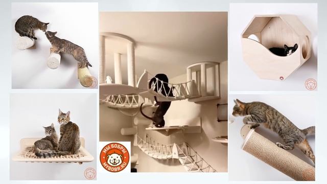 ДИЗАЙН ДЛЯ ЖИВОТНЫХ. МЕБЕЛЬ ДЛЯ КОШЕК И СОБАК, ИГРОВОЙ КОМПЛЕКС ДЛЯ КОШКИ, ЛЕЖАНКИ, КОГТЕТОЧКИ смотреть онлайн