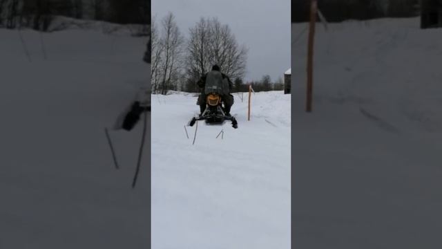 Динго 125 поехали! смотреть онлайн