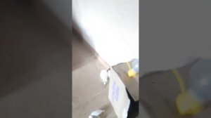 Большой тест ламп