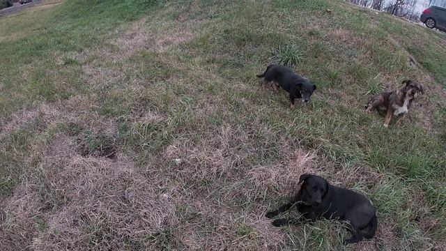 Катаюсь на велосипеде по Краснодару /на речку пить чай/север города смотреть онлайн