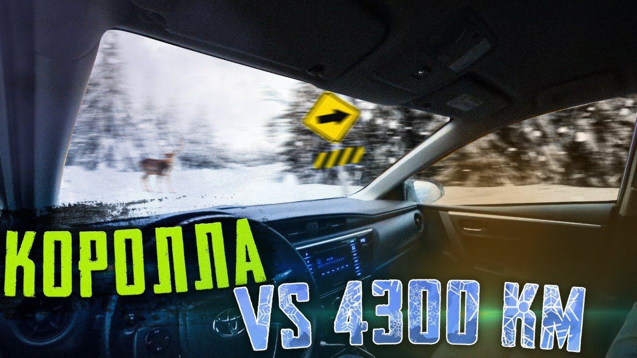 Перегон тойоты королла!!! смотреть онлайн