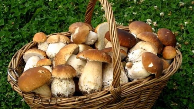 Продукты которые нельзя есть беременным смотреть онлайн