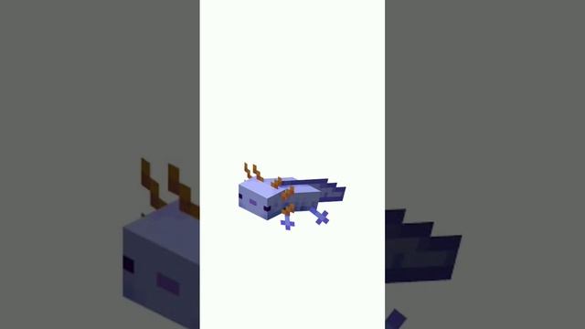 Голубой аксолотль #shorts #майнкрафт #minecraft #мобы #животные смотреть онлайн