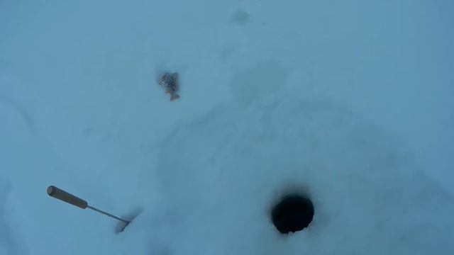 Окунь и Щука в глухозимье. Безмотылка сделала всю рыбалку! смотреть онлайн
