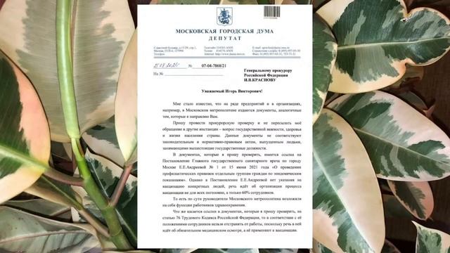 Что делать, если начальник грозит уволить из-за Постановления Андреевой смотреть онлайн