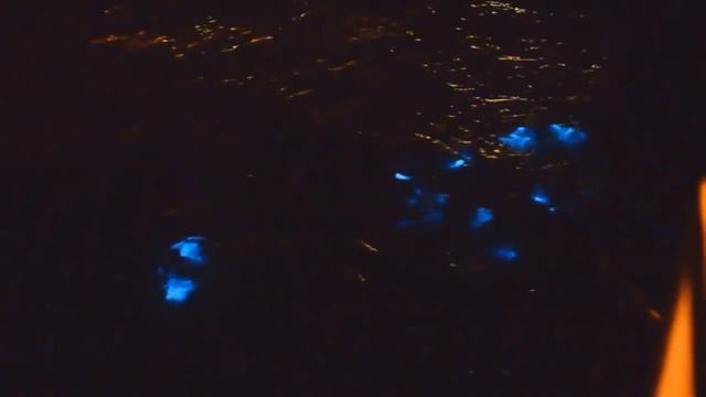 7 удивительных и крутых природных явлений!