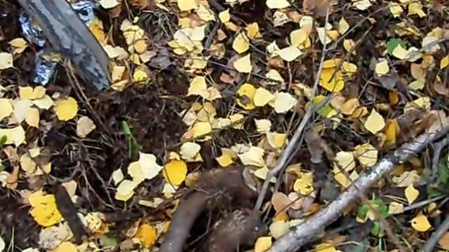 Кубок Иркутской обл. по DH. г.Братск, гора Пихтовая. 2012г. серия-3 смотреть онлайн