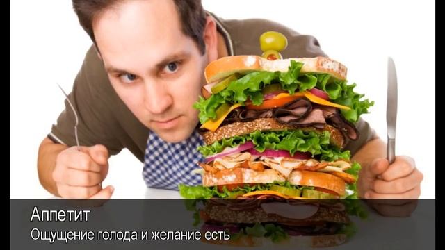 Аппетит. Толковый Видеословарь русского языка смотреть онлайн