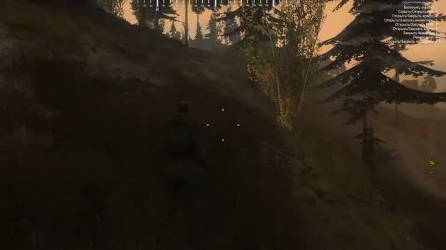 Здесь водятся крысы! Недружелюбные сталкеры! Выживание в SOTA 2