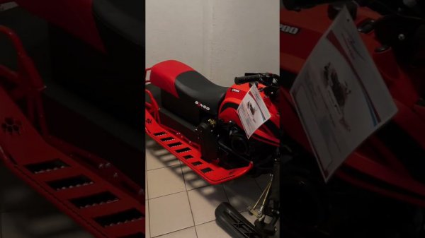 Обзор снегохода Dingo