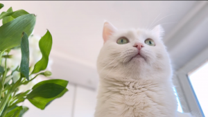 РЕАЛЬНАЯ ЖИЗНЬ С СОФОЙ | ЧУТЬ НЕ ОПОЗДАЛИ НА САМОЛЕТ | СНИМАЕМ ВИРУСНОЕ ВИДЕО С СОФОЙ