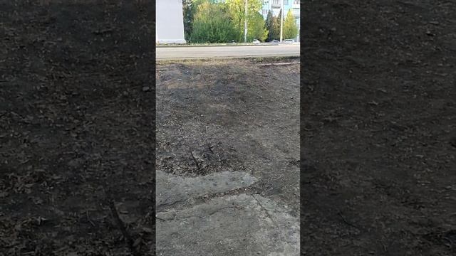 Грязевая горка вместо лестницы, ведущей к памятнику Ленина и аллее трудовой славы Новомосковска смотреть онлайн