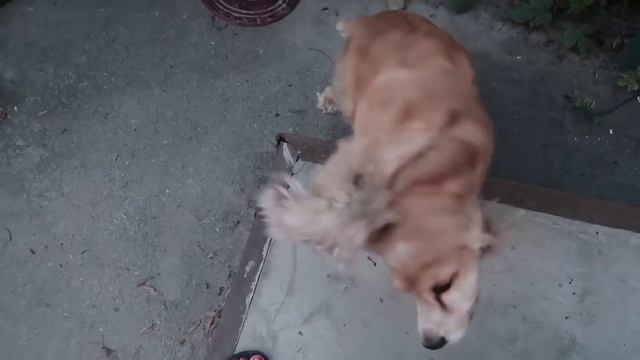 Давлю на мужа и не даю ему принять решение. смотреть онлайн