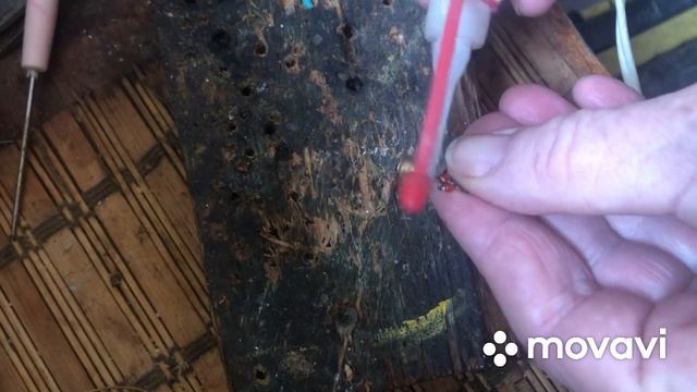 Делаем Мини Яйца из капсуля Жевело!!! смотреть онлайн