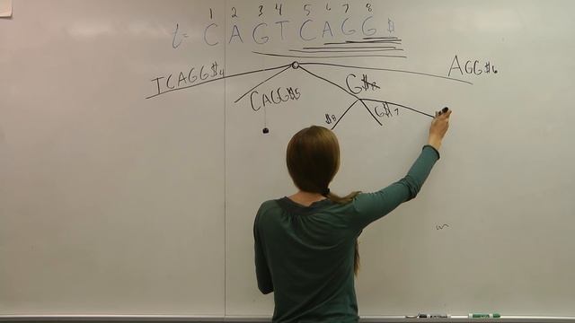 Creating the Suffix Tree - Conceptually смотреть онлайн