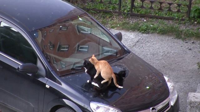 ПРОСТО ВИДЕО смотреть онлайн