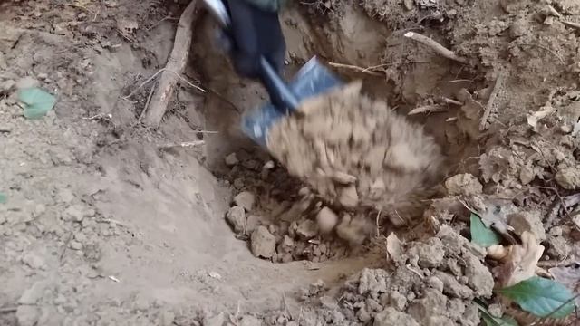 Эти НАХОДКИ копал ТРИ ДНЯ,и находка от которой меня всего ТРЯСЛО! В Поисках Клада и Сокровищ смотреть онлайн