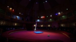 Дементьева Арина 3 года воздушная гимнастка