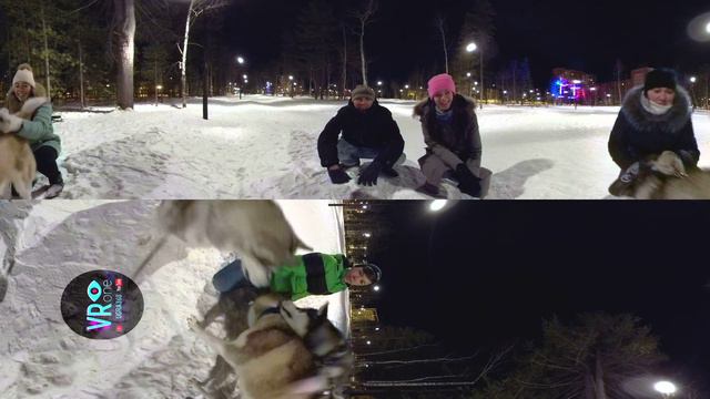 Сургутский парк. Собачки. видео 360 смотреть онлайн