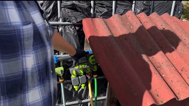 4. Обзор питомника растений // Череночники уличные (череночник на грядке) смотреть онлайн