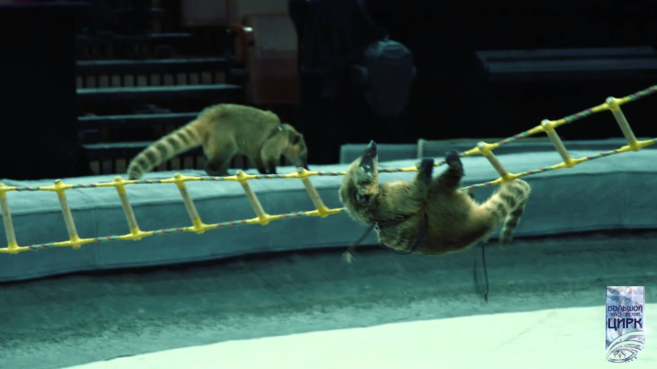 ИДОЛ 2015 (кадры 3) смотреть онлайн