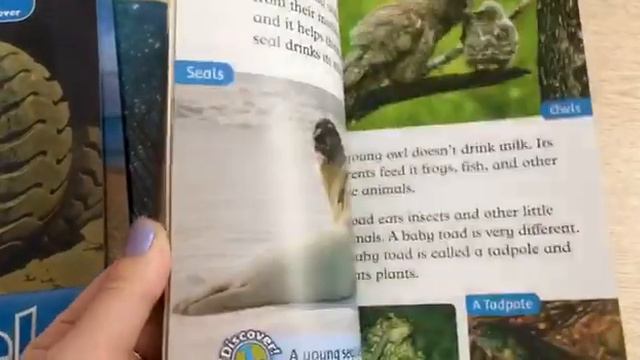Обзор серии книг Oxford Read And Discover. Level 1