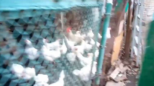 День рождения мужа.|День25 смотреть онлайн