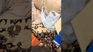 Масло в вакуумном усилителе тормозов TIGUAN