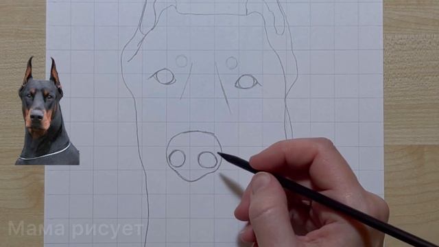 Как нарисовать собаку ДОБЕРМАНА поэтапно / Doberman Dog easy drawing смотреть онлайн