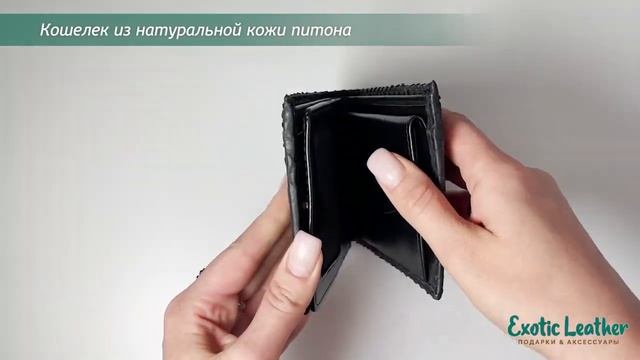 Кошелек из натуральной кожи питона смотреть онлайн